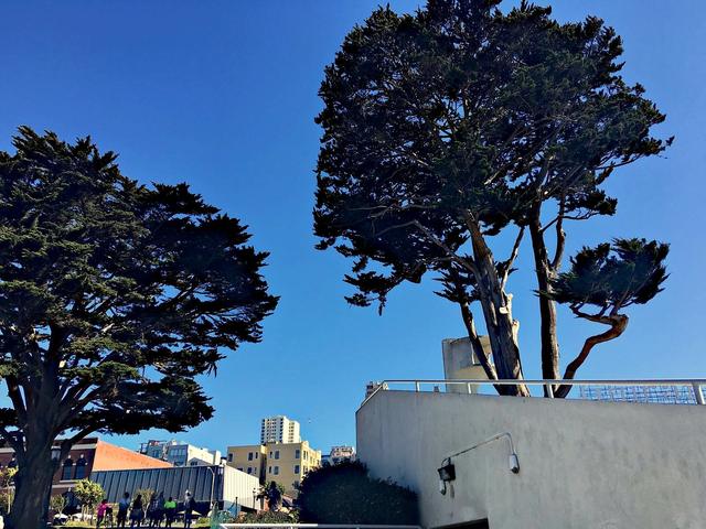 San Francisco & the Bay Area