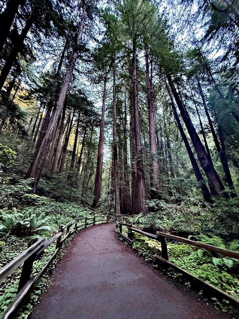 Mill Valley