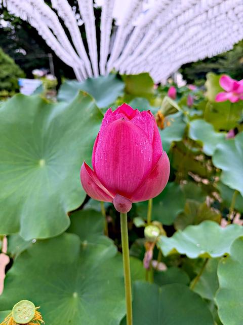 Seoul