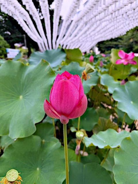 Seoul