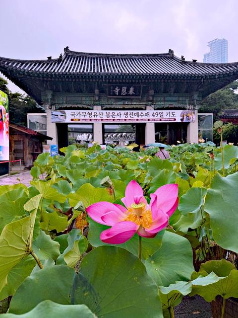 Seoul