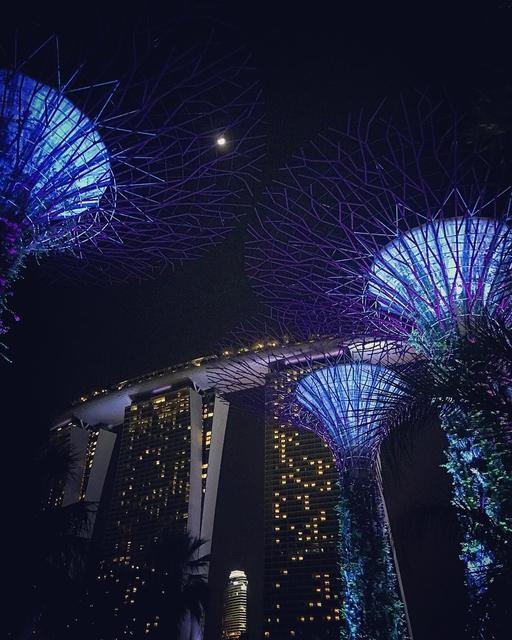 Gardens by the Bay