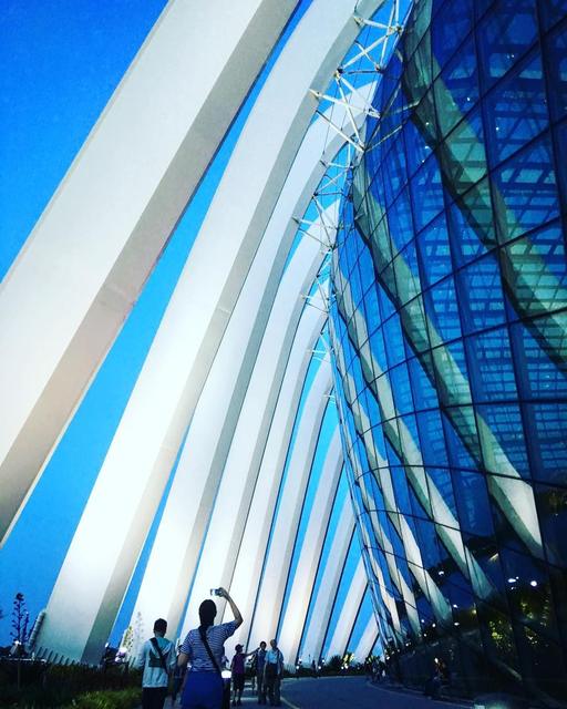Gardens by the Bay