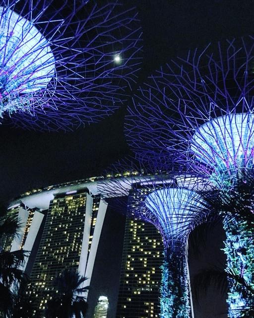 Gardens by the Bay