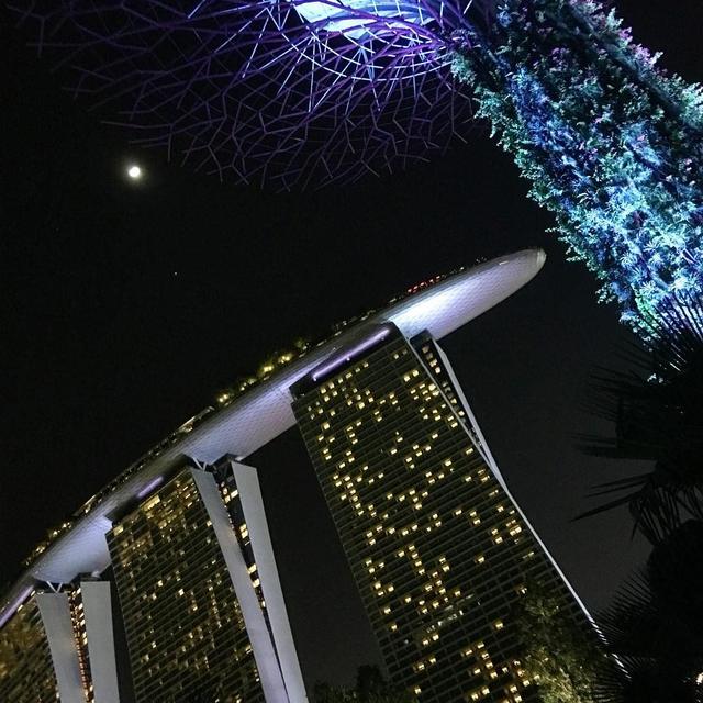 Gardens by the Bay