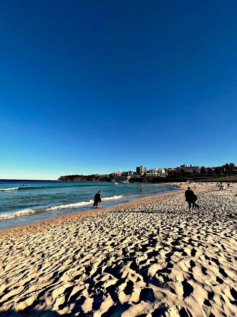 Bondi Beach