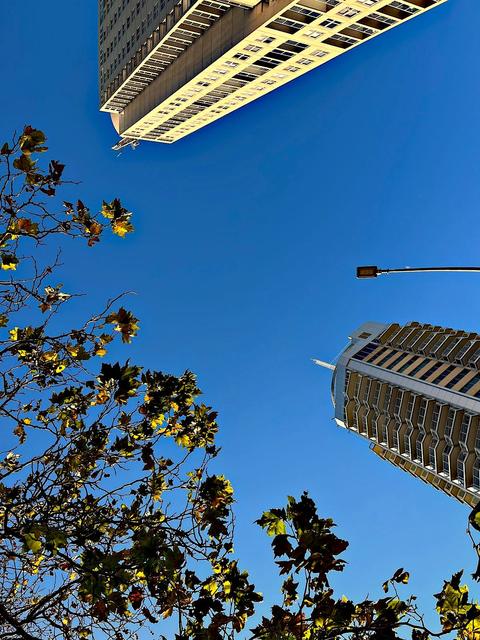 Darlinghurst