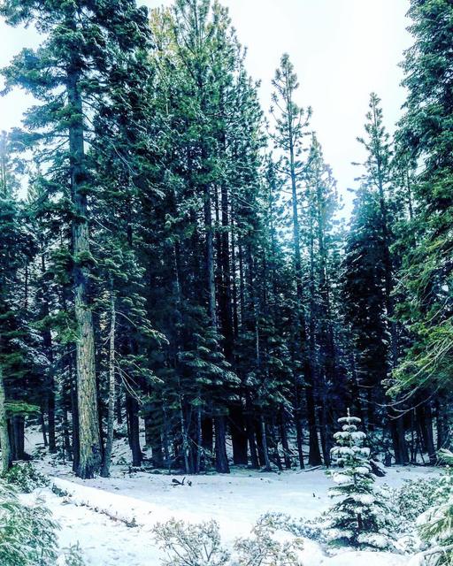 South Lake Tahoe, California