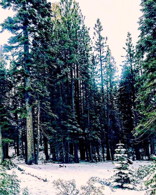 South Lake Tahoe