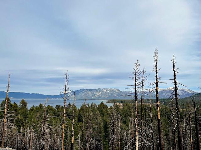 South Lake Tahoe