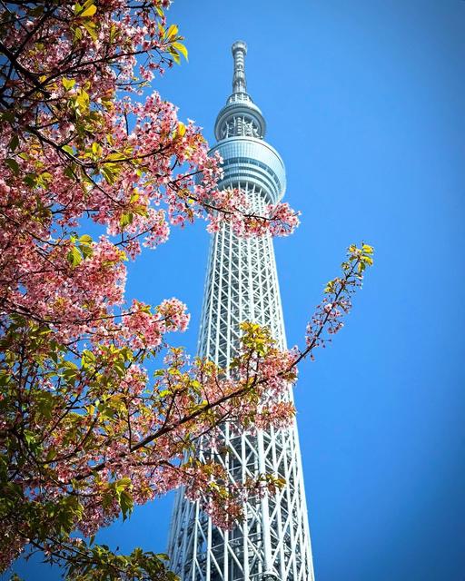 東京スカイツリー / Tokyo Skytree
