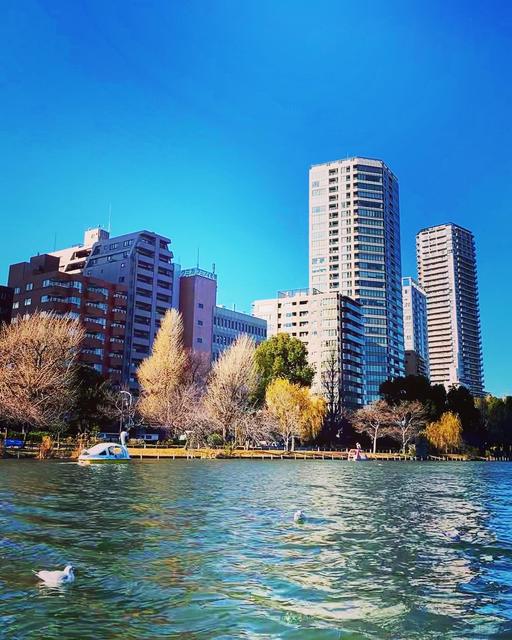 Ueno Park