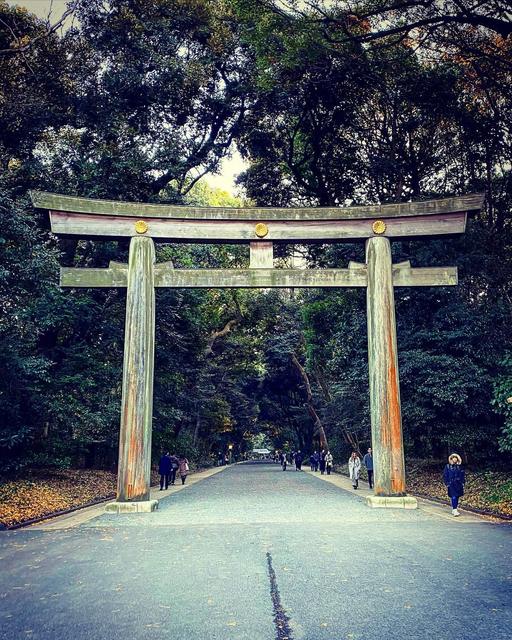 明治神宮 北参道鳥居