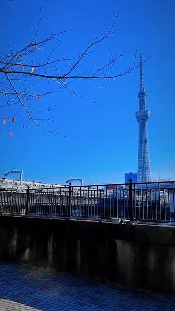 Tokyo