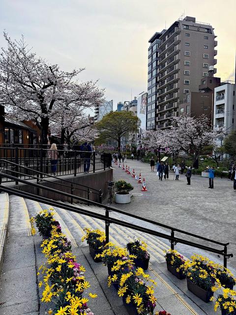 Urayasu