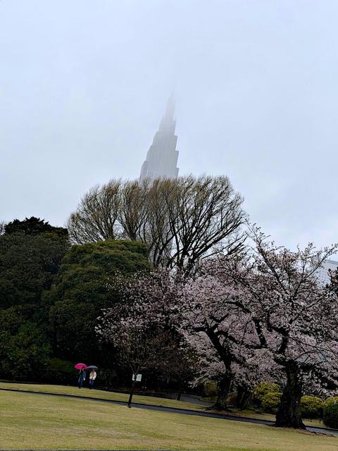Tokyo