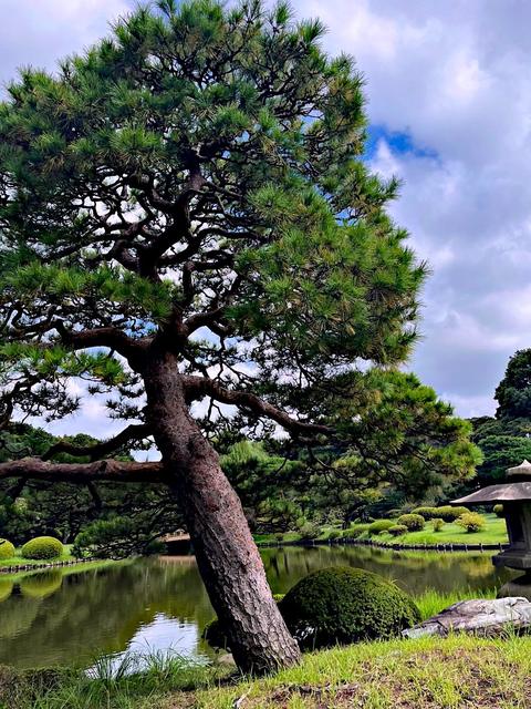 Tokyo