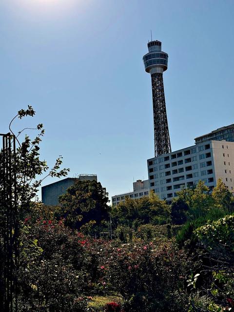 Yokohama