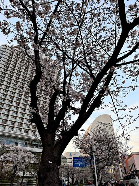 Yokohama