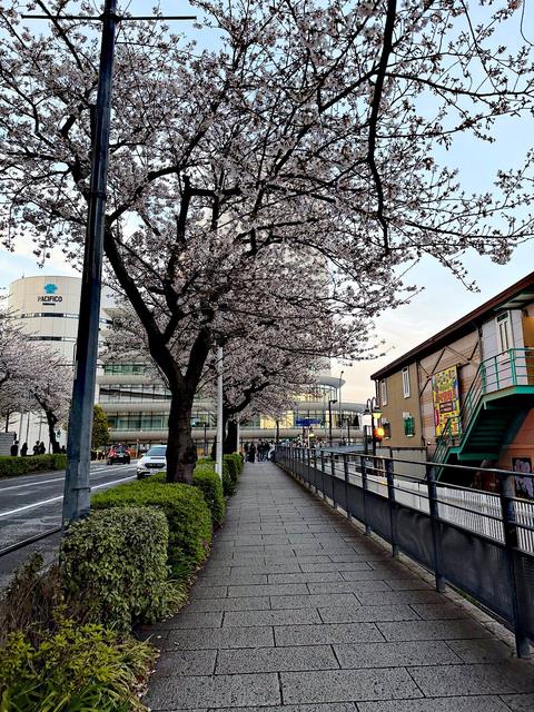 Yokohama