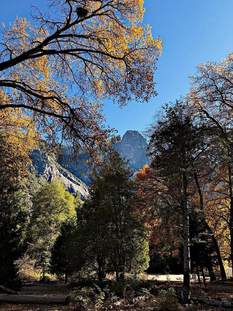 Yosemite Valley