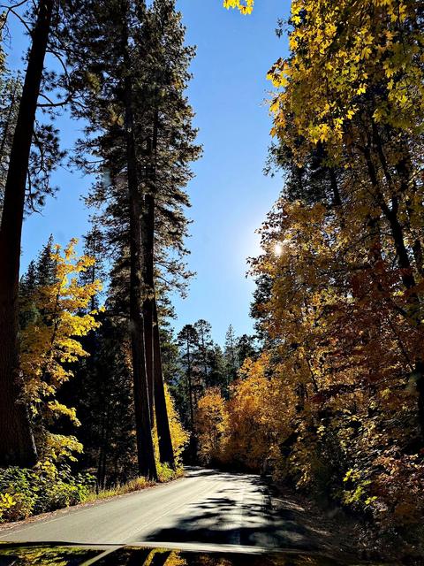Yosemite National Park